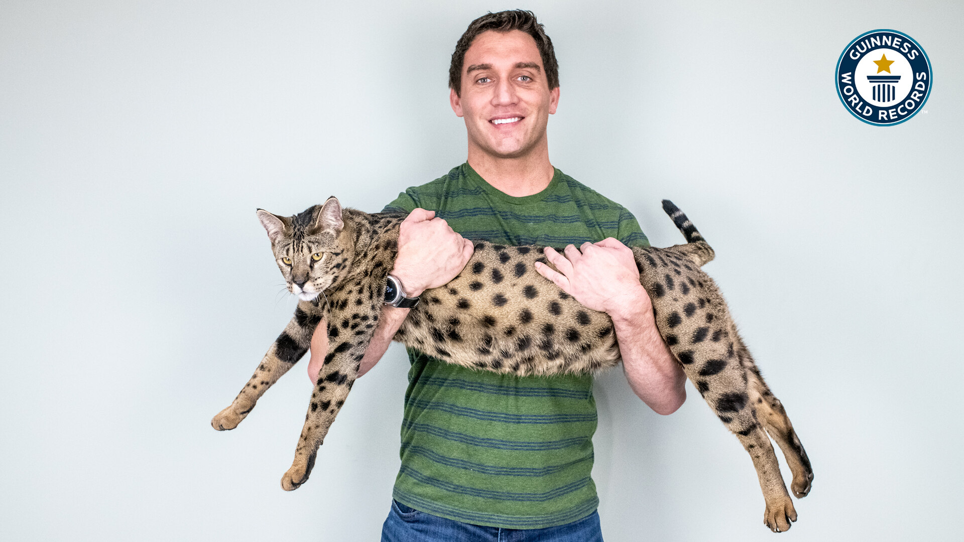'Video thumbnail for Will Powers, Life with record-breaking cats'