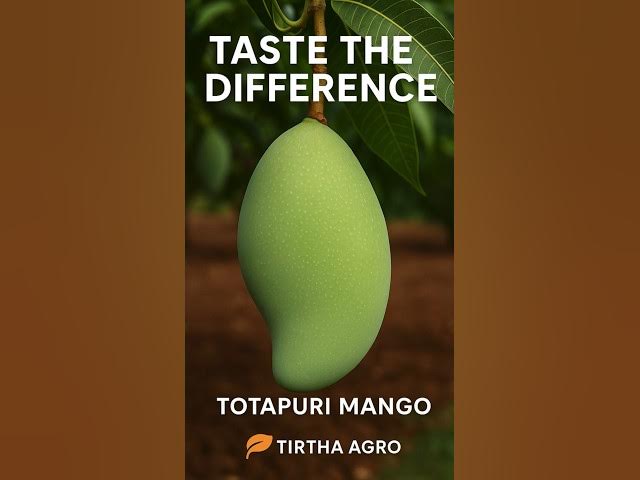 Video thumbnail for 🦜 Totapuri Mango – The Parrot-Nosed Wonder!