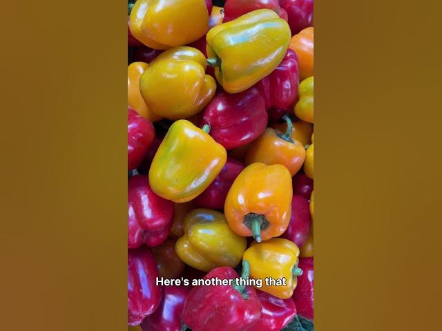 Video thumbnail for The Green Bell Pepper Secret You’ve Never Heard Before