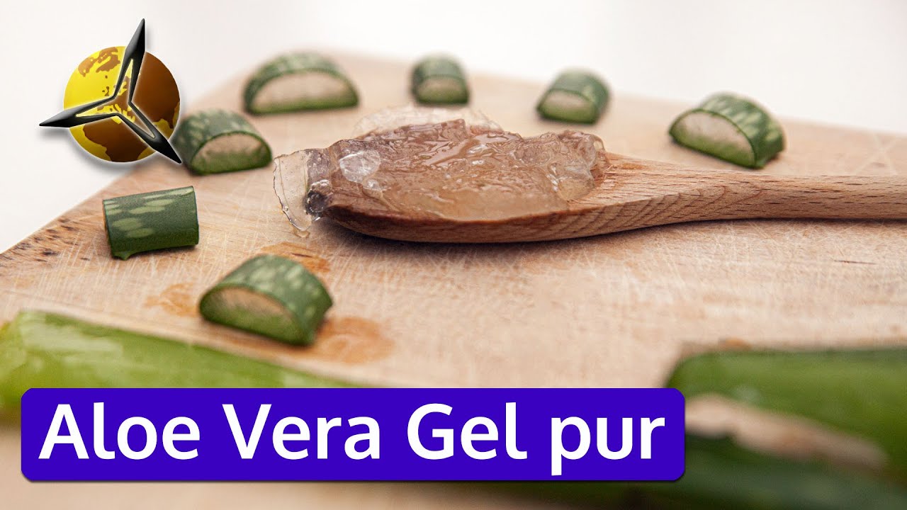 'Video thumbnail for Aloe Vera Gel pur aus Blättern ernten / herstellen'