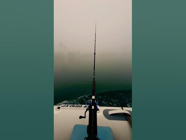 Video thumbnail for Fishing in the Fog #Longbeachfishing