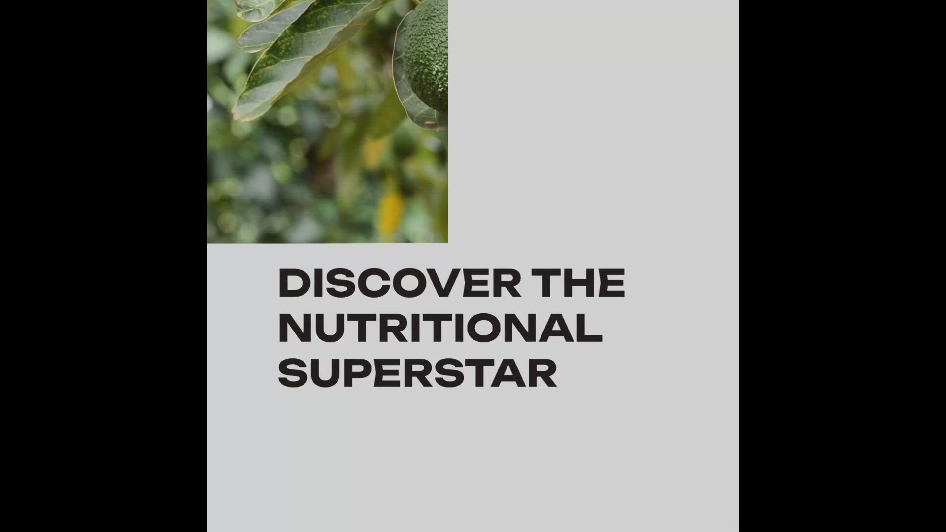 'Video thumbnail for The Power of Avocado'