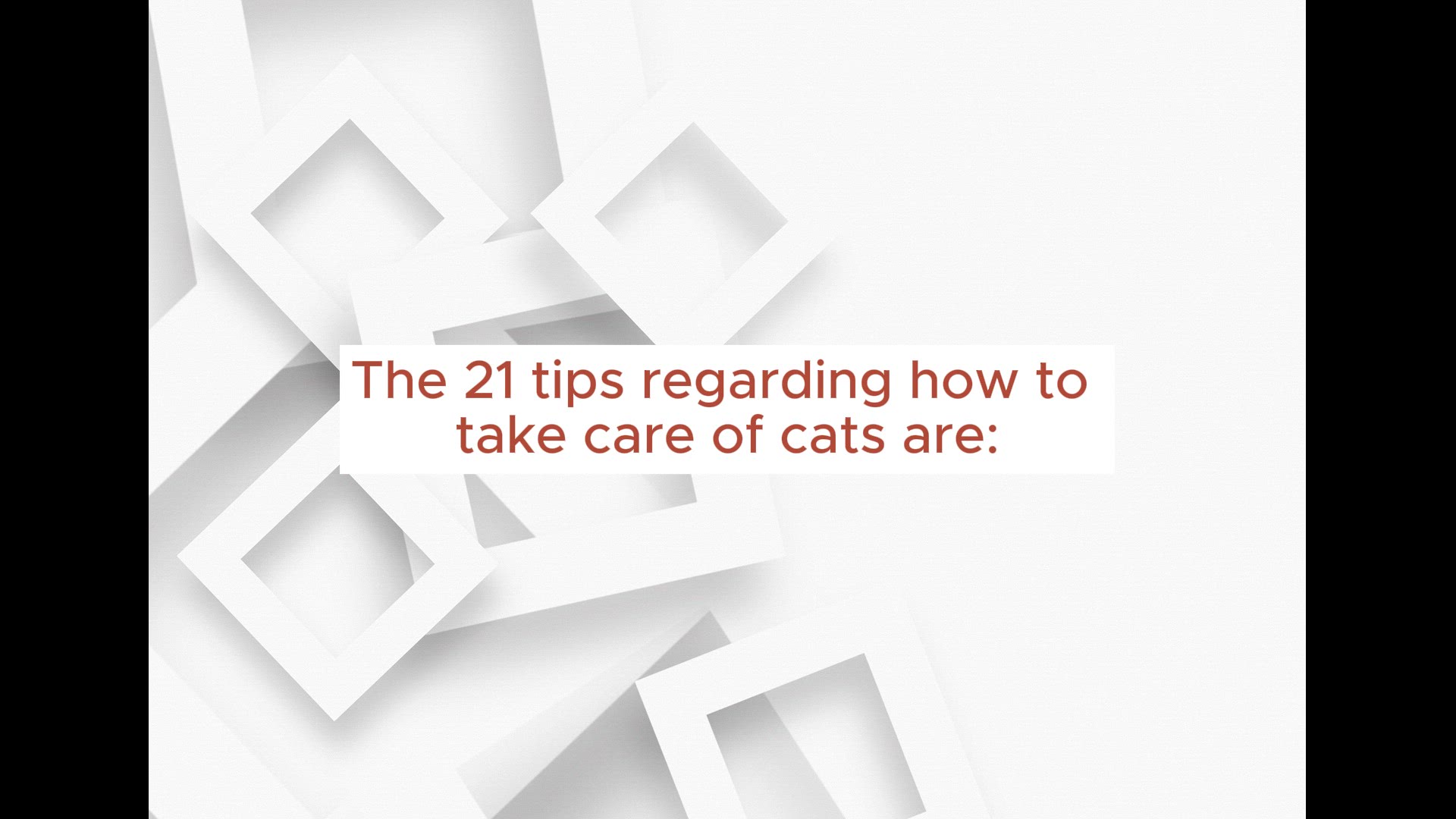 Video thumbnail for How To Take Care Of Cats |21 Best Tips