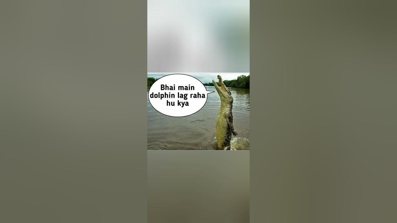 'Video thumbnail for funny memes that will make you laugh #449 || legend memes || funny relatable memes 😃 #shorts'