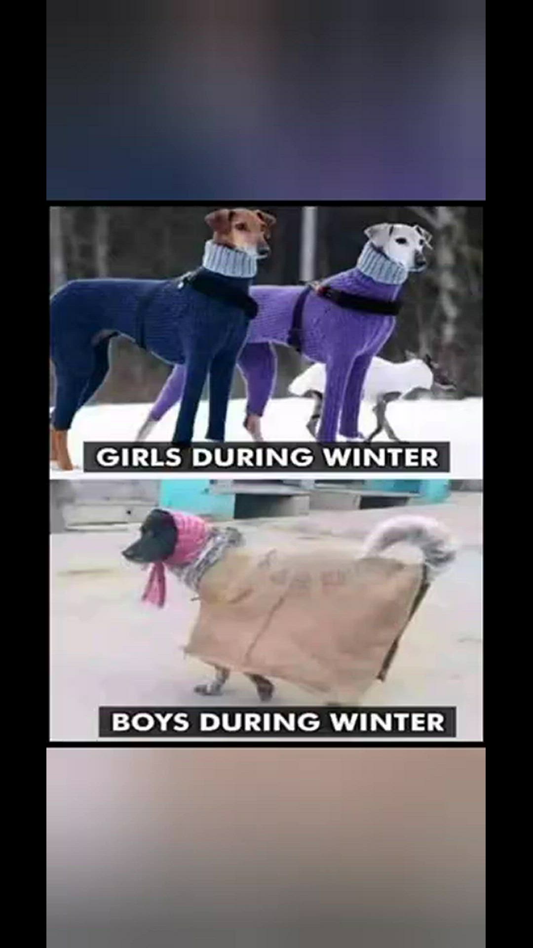 'Video thumbnail for funny memes that will make you laugh #528 || legend memes ||  funny relatable memes 😂 #clean #shorts'