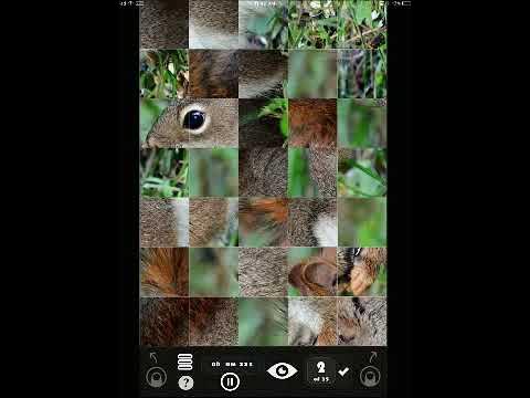 Video thumbnail for Picture Puzzler - Animals