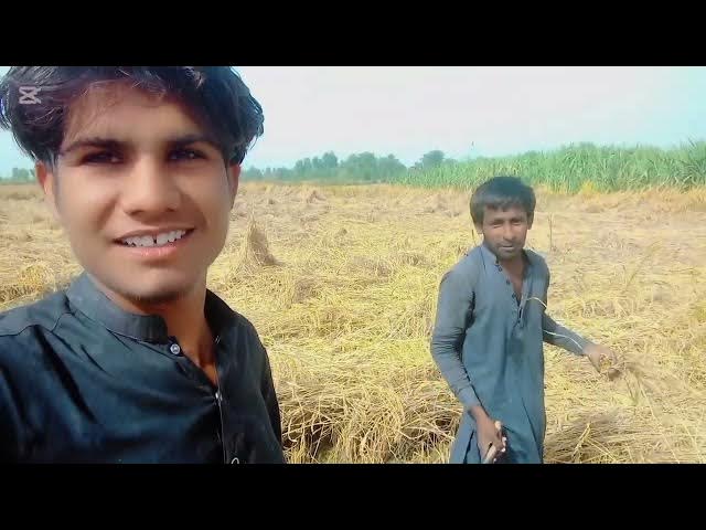 Video thumbnail for Farm Volg