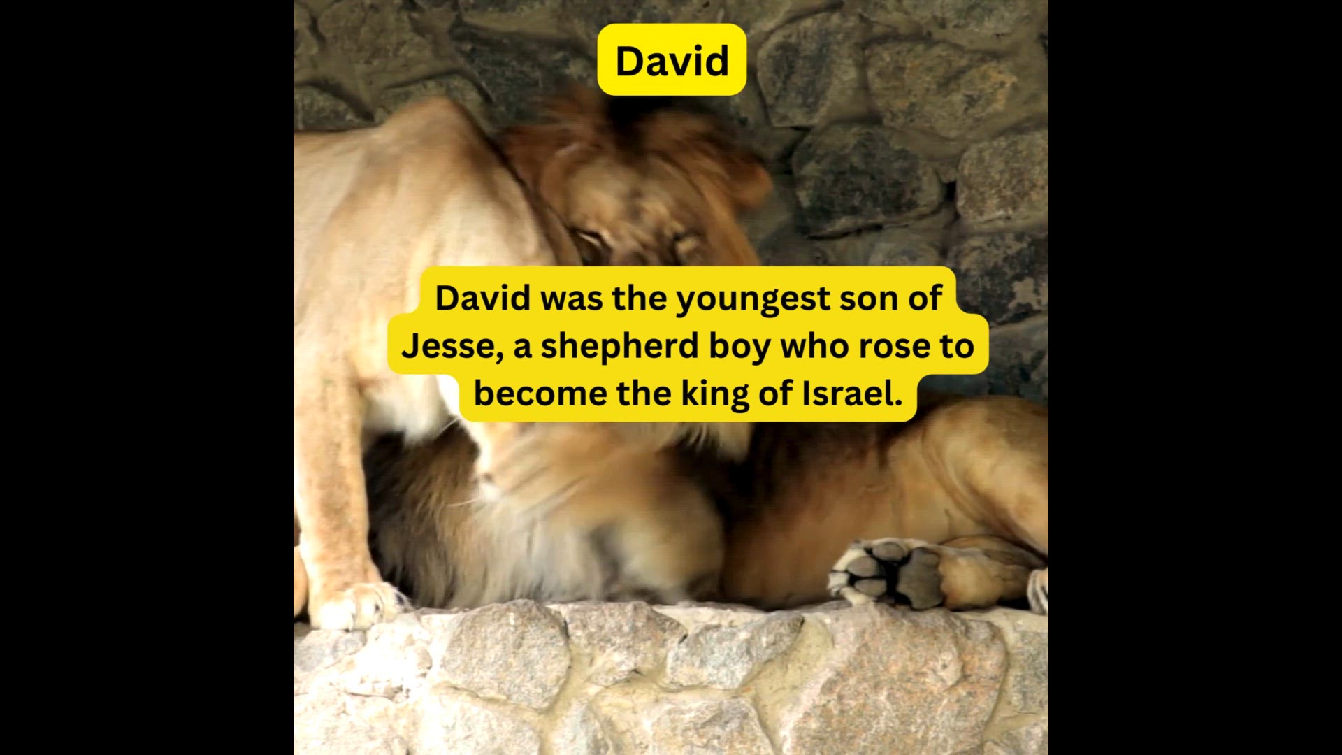 Video thumbnail for Young  Leadership Video