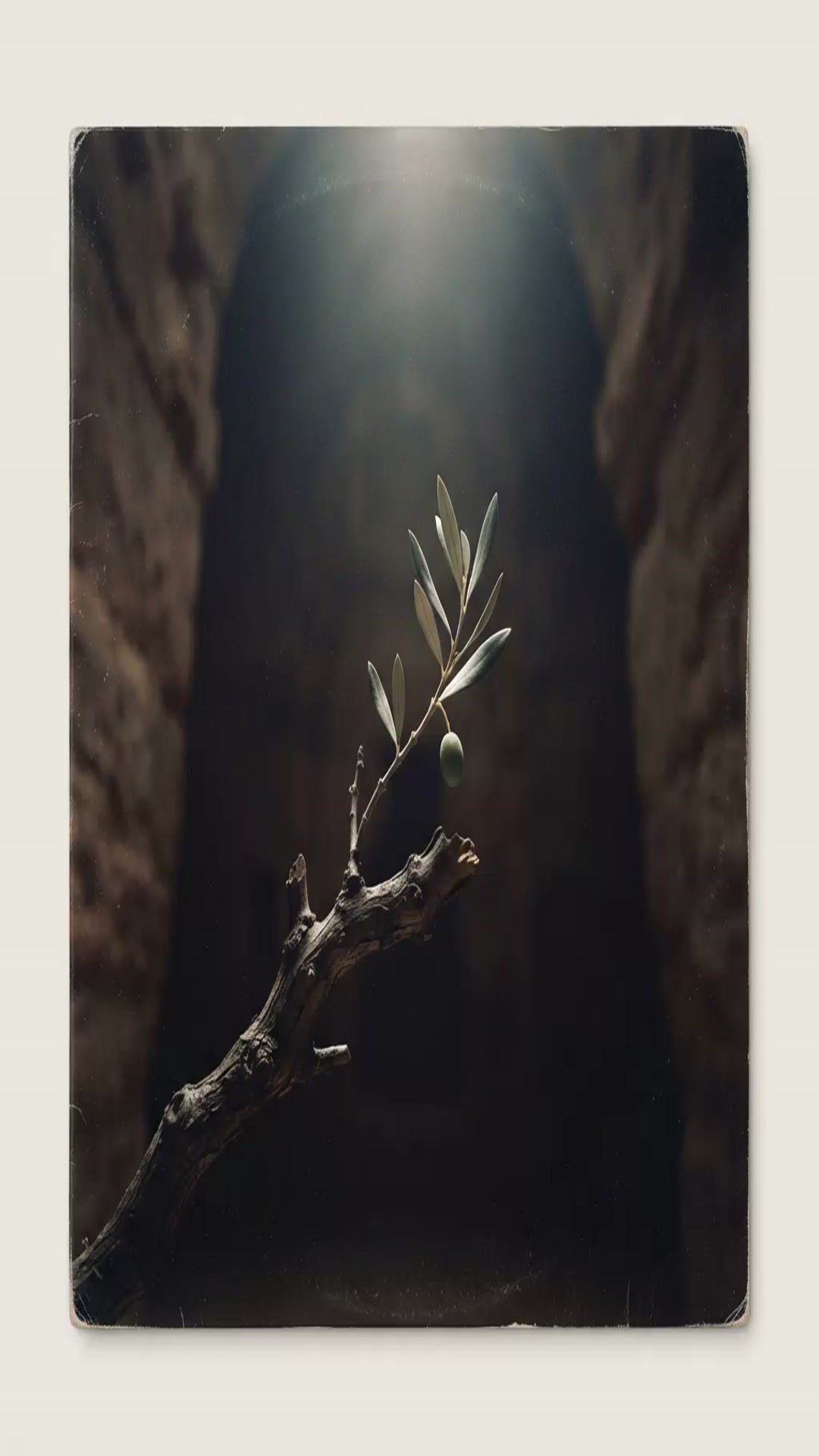 'Video thumbnail for 10   The Child Who Reigned'