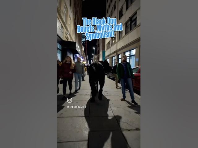 Video thumbnail for The black dog beliefs, myths and symbolism