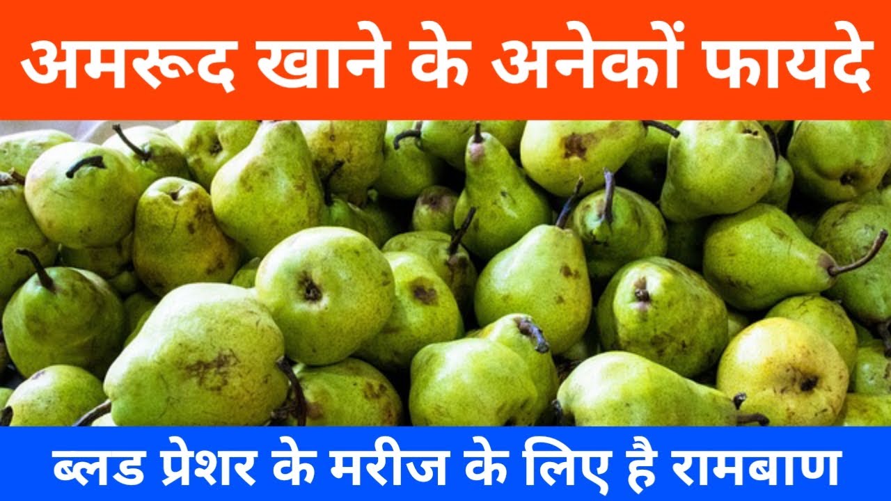 Video thumbnail for अमरूद खाने के फायदे बताएं | अमरूद खाने के फायदे क्या है | भुना अमरूद खाने के फायदे