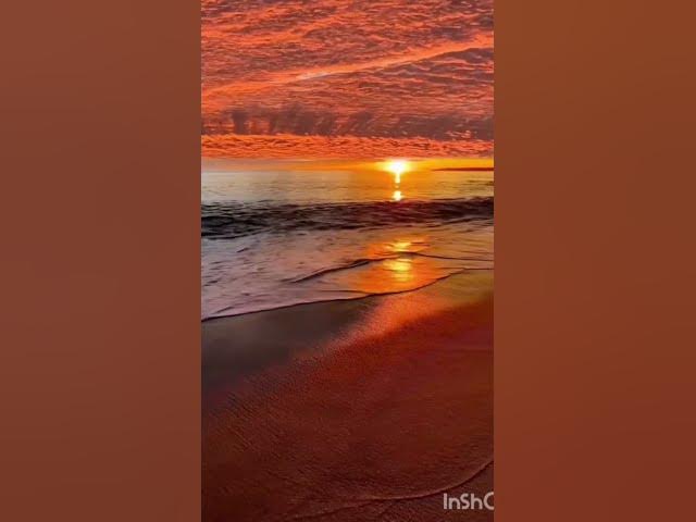 Video thumbnail for This song🤩 #runaway #runawayauroralyrics #songs #nature