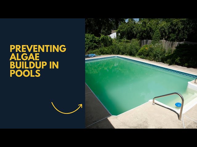 'Video thumbnail for How to Prevent Algae Buildup in Pools'