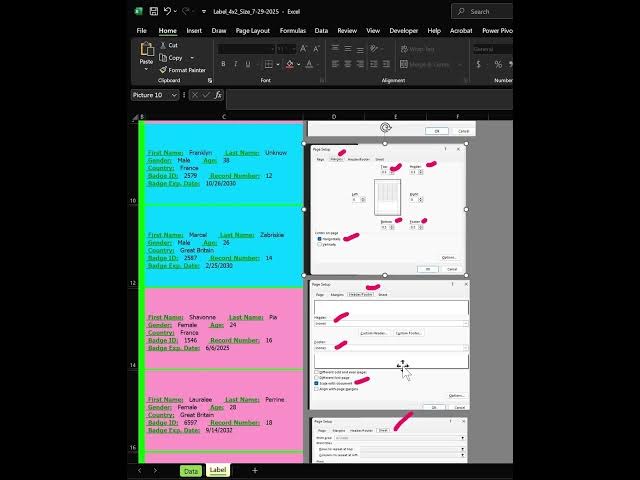 Video thumbnail for Excel-Tips-Custom-4x2-label-tool-using-VBA-2025