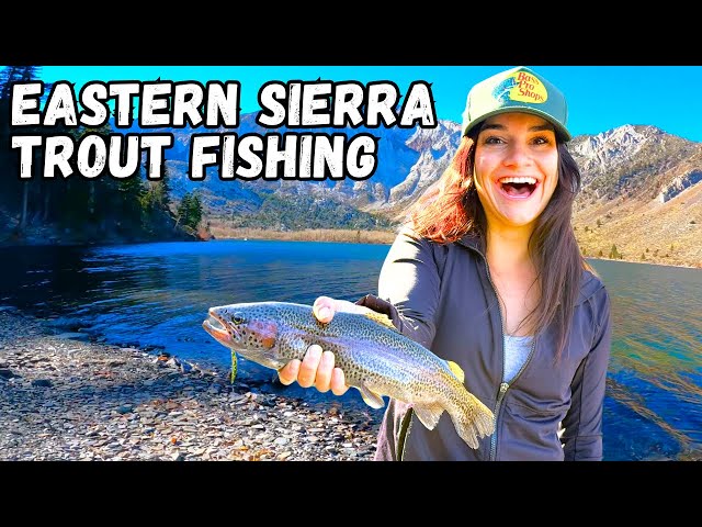 'Video thumbnail for My Wife Out-Fished me in the California Mountains! Eastern Sierra Trout Fishing & Camping'