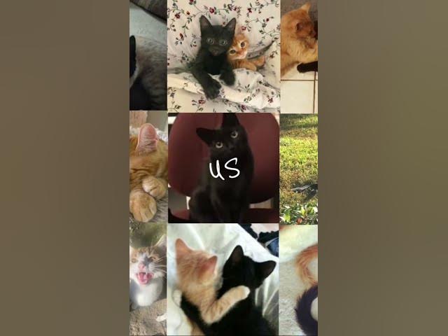 Video thumbnail for US