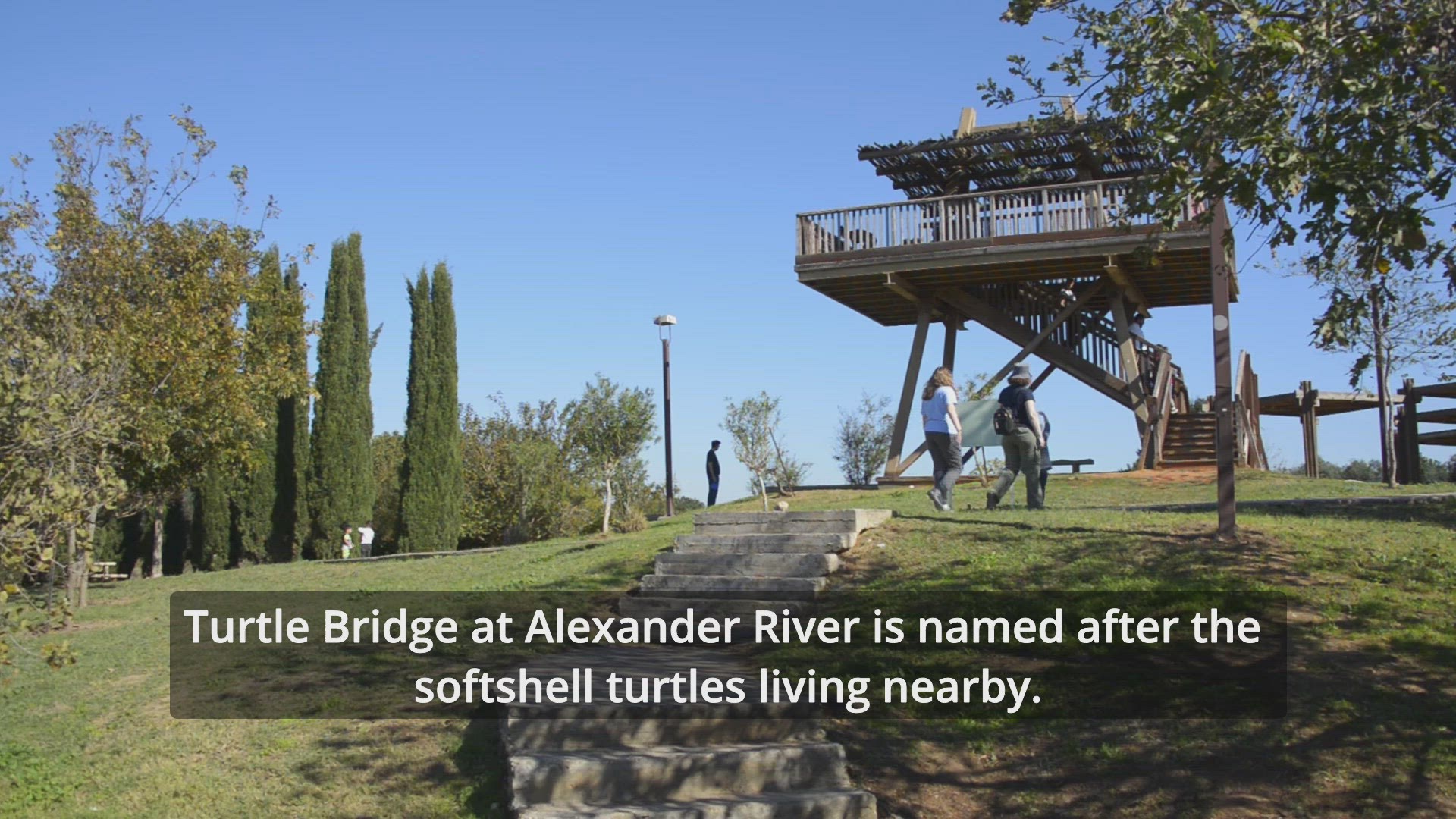 'Video thumbnail for Turtle Bridge at Alexander River'