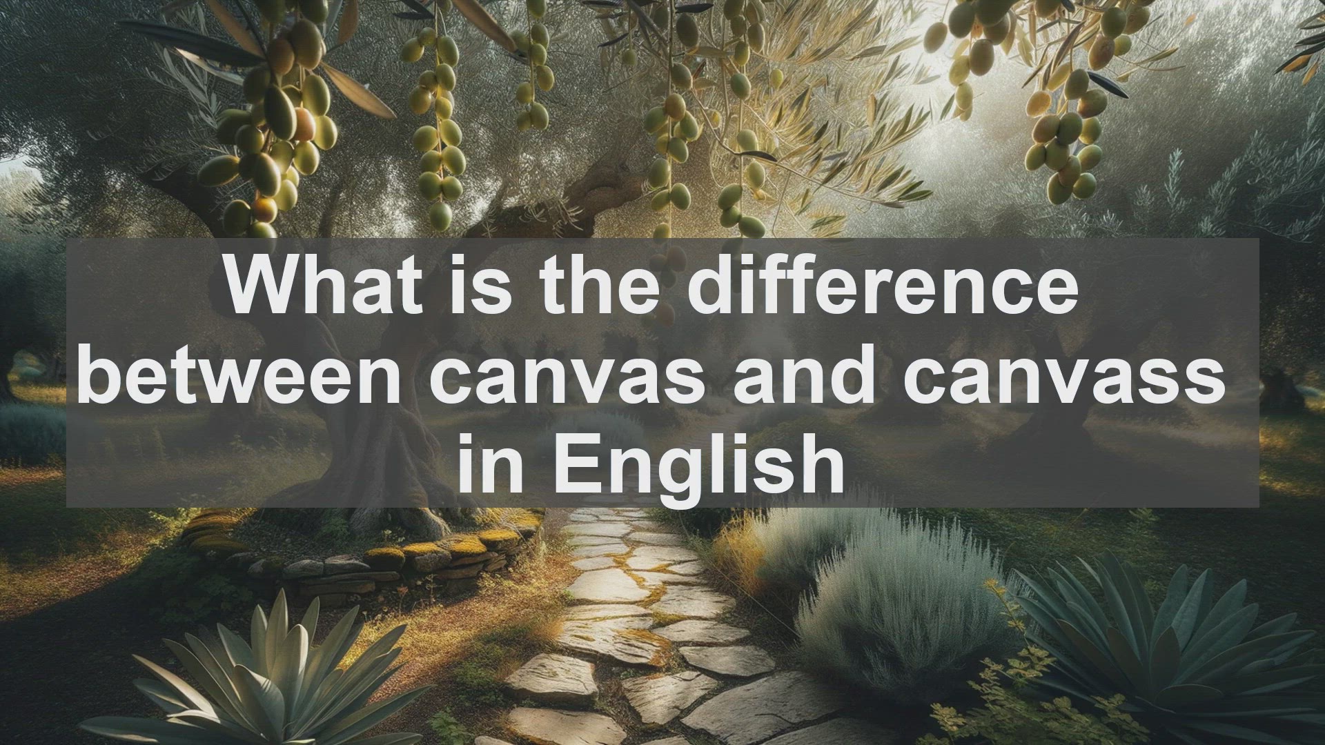 'Video thumbnail for What is the difference between canvas and canvass in English?'