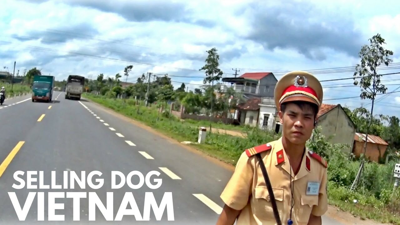 Video thumbnail for SELLING DOG AT A VIETNAM MARKET