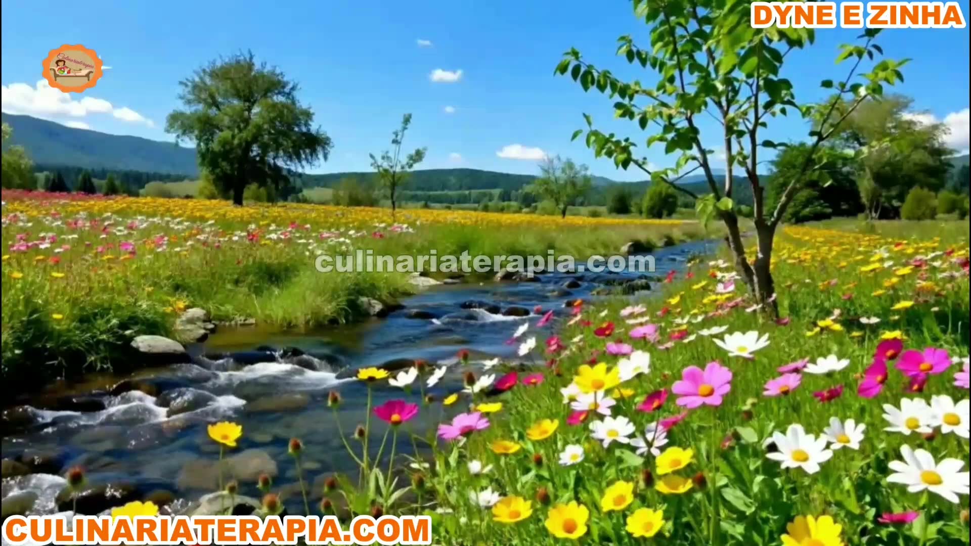 Playlist thumbnail for Fé, Esperança e Terapias