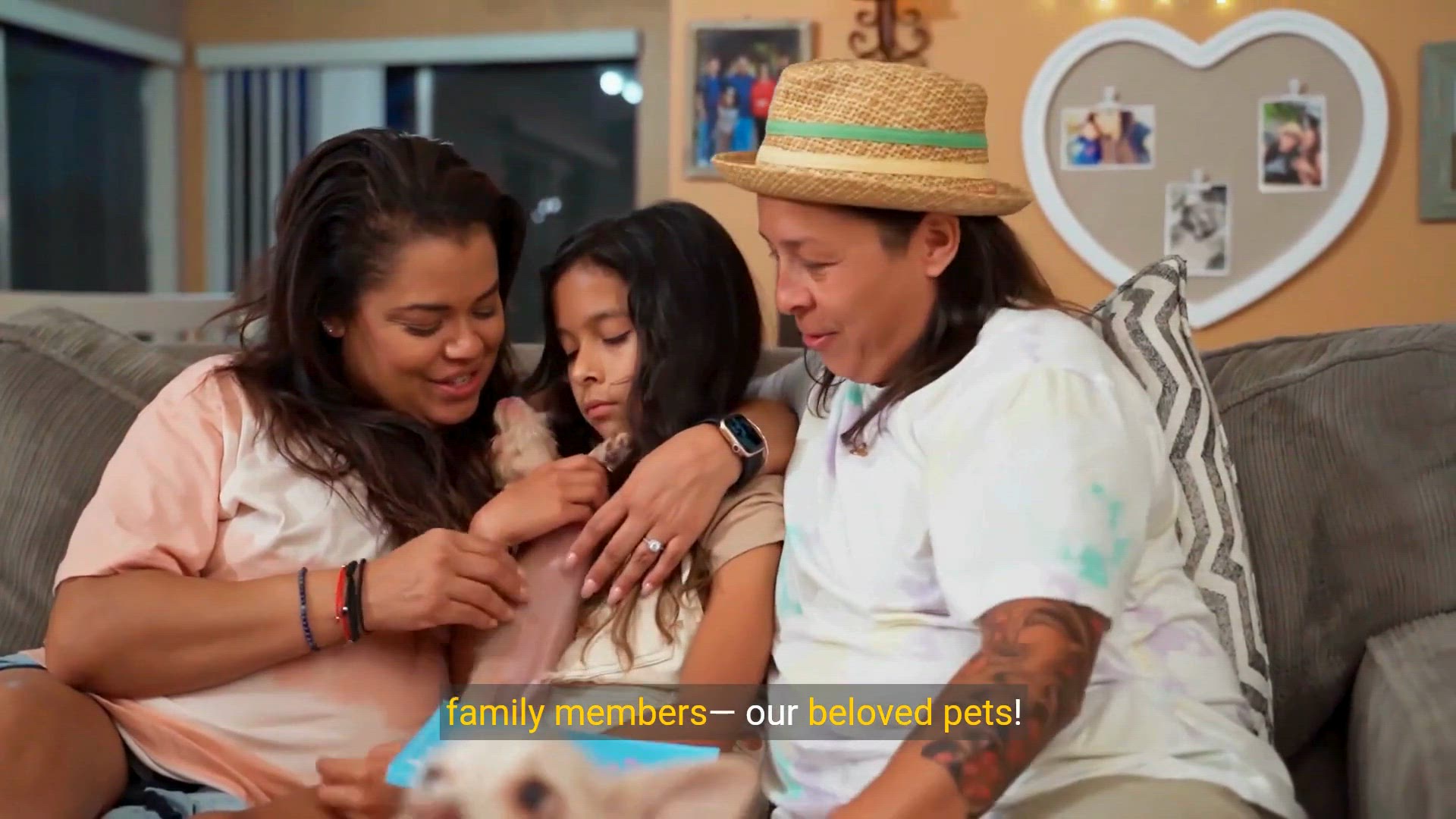 Video thumbnail for Top 20 Pets That Are Their Family