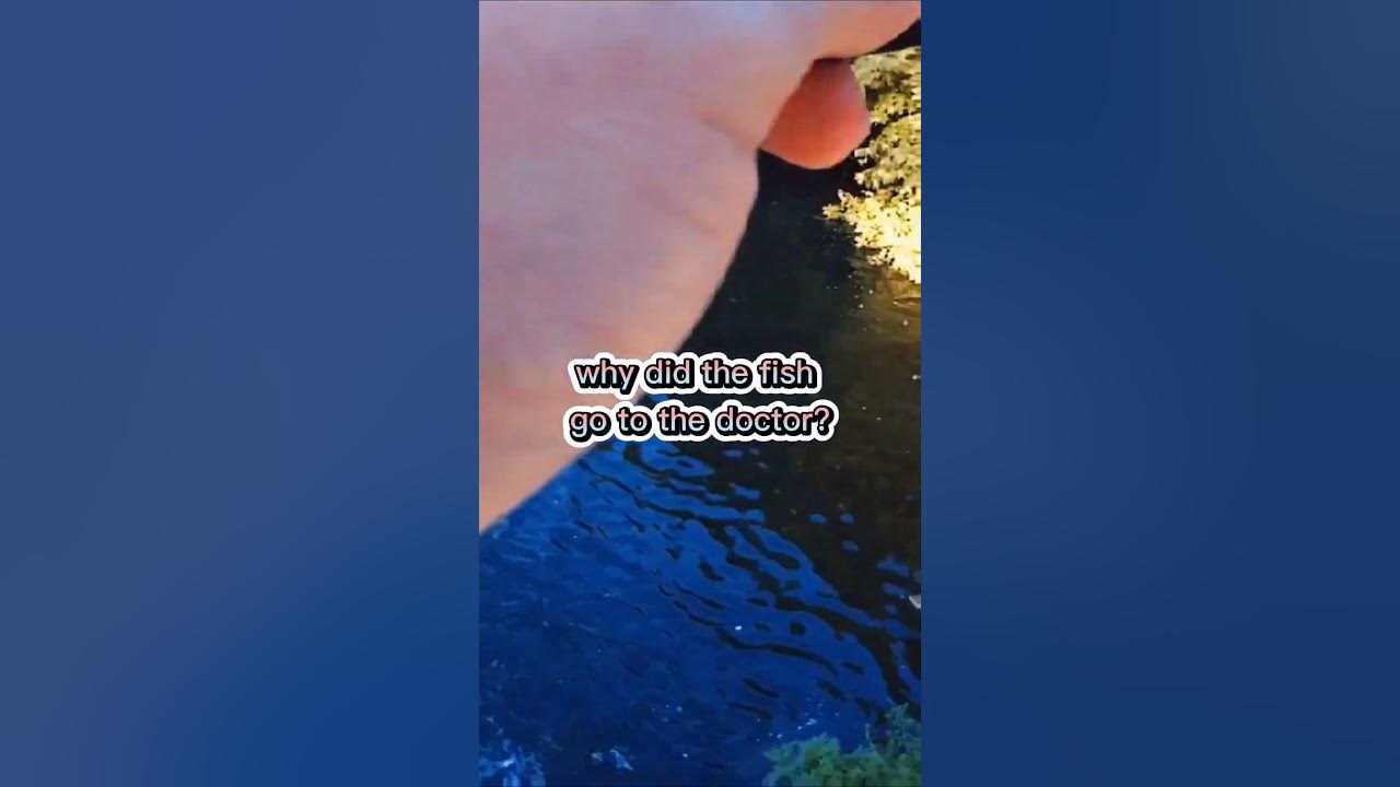 'Video thumbnail for Fishing Joke 20 #jokes #fishingjokes #humor'