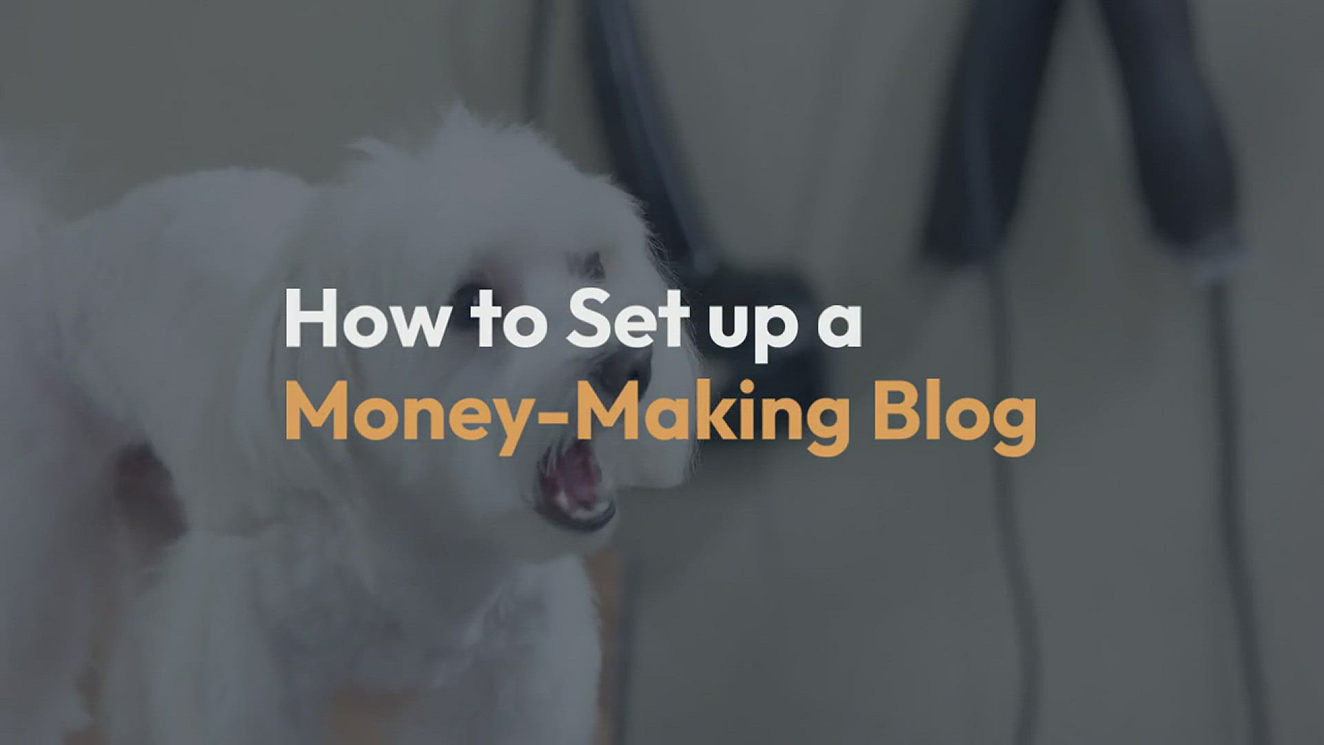 'Video thumbnail for How to Set up a Money-Making Blog'