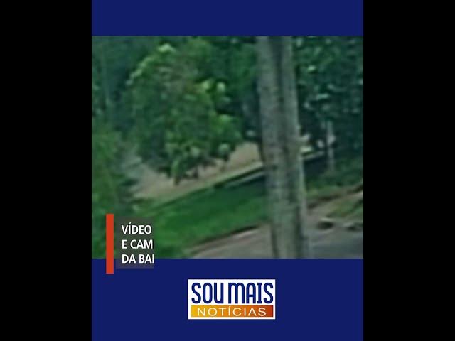 'Video thumbnail for Vídeo mostra batida entre caminhonete e caminhão que matou empresário em Palmas'