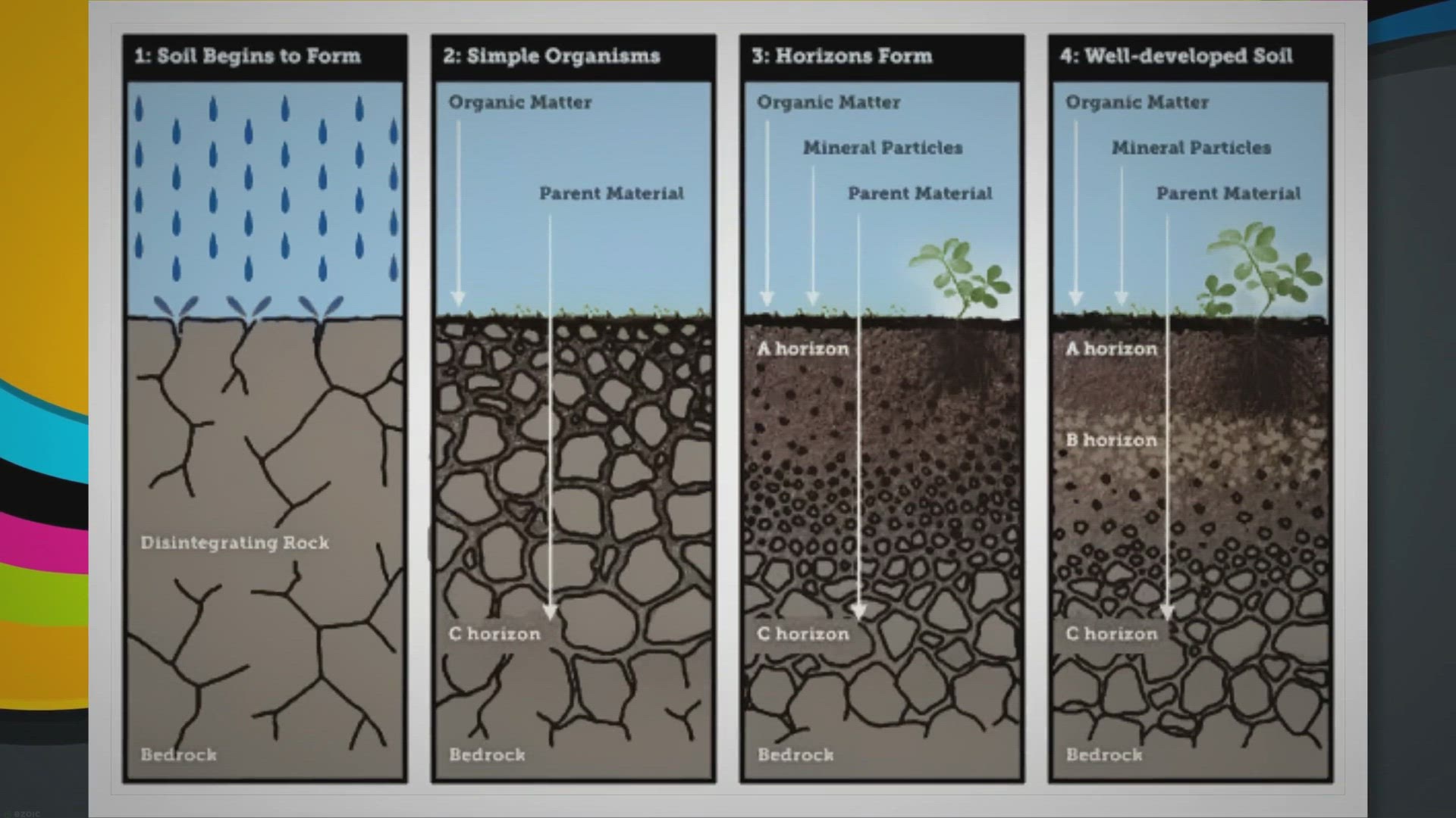 Soil Profile Diagram Worksheet