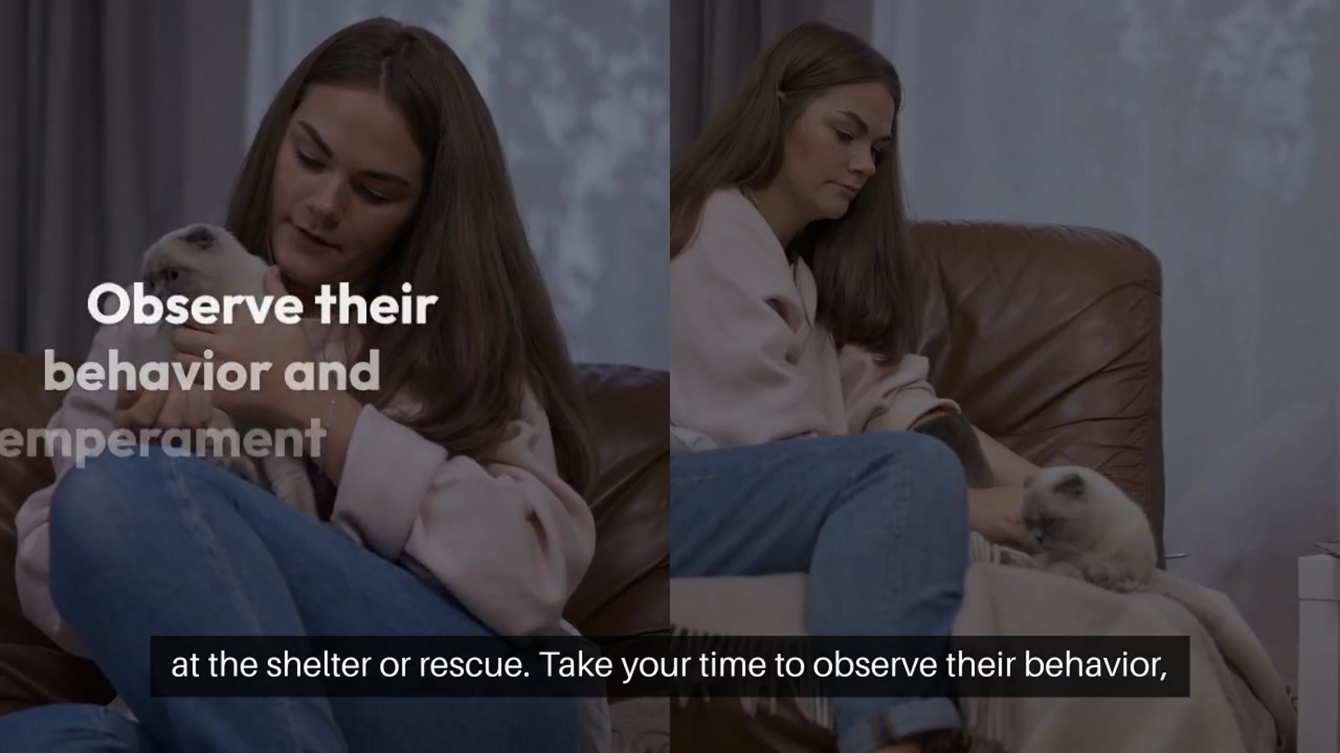 Video thumbnail for Adopting a Pet What to Expect