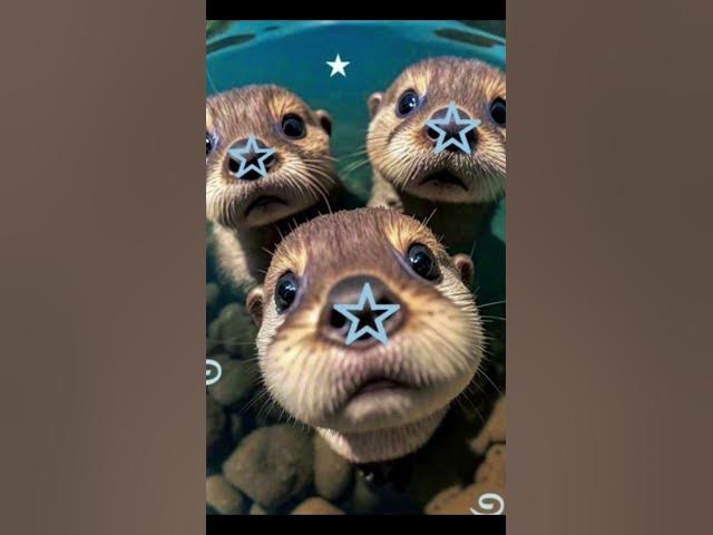 Video thumbnail for free summer wallpapers #summer #animaljam #roblox #mlps #mylitlepony #helpmemakethismakesense #edit