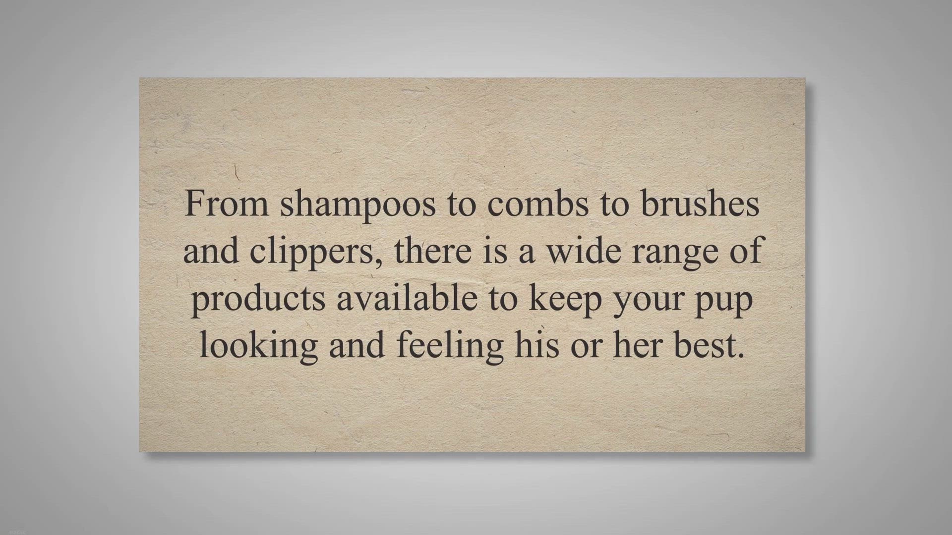 Video thumbnail for The Most Popular Dog Grooming Supplies to Buy in Bulk