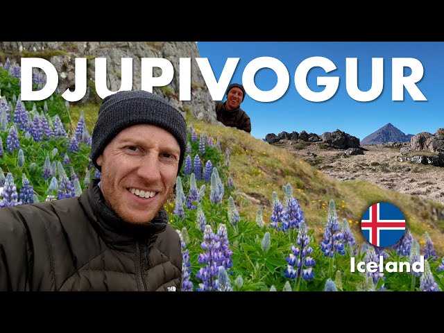 Video thumbnail for Cruise Director's Day Out in Djupivogur, Iceland