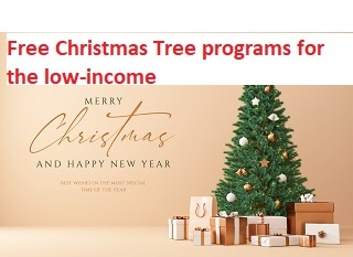 Video thumbnail for How to Get a Free Christmas Tree for Low Income Families