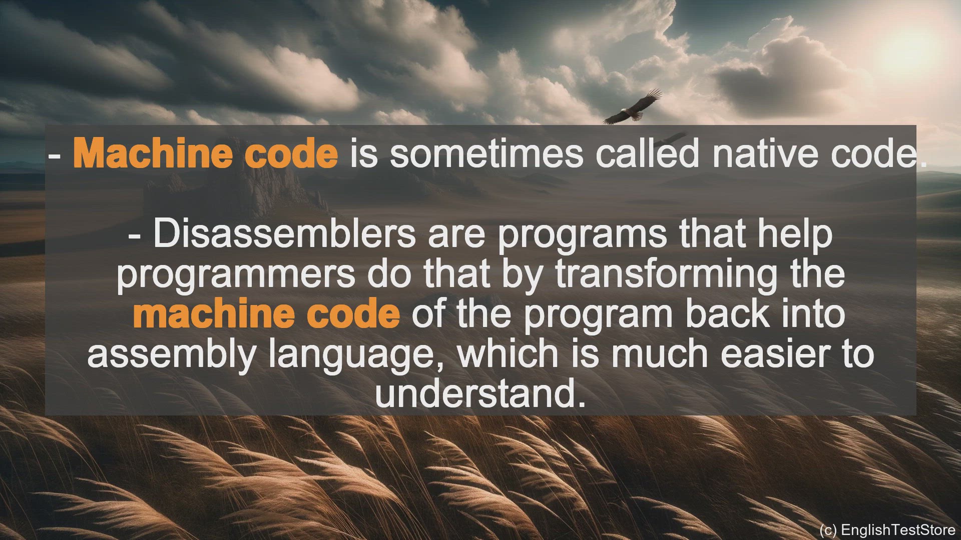 'Video thumbnail for Machine Code In Sentences - Examples Of Machine Code In Sentences'