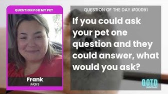 Video thumbnail for Frank would ask her pet if they loved her. They absolutely do!
