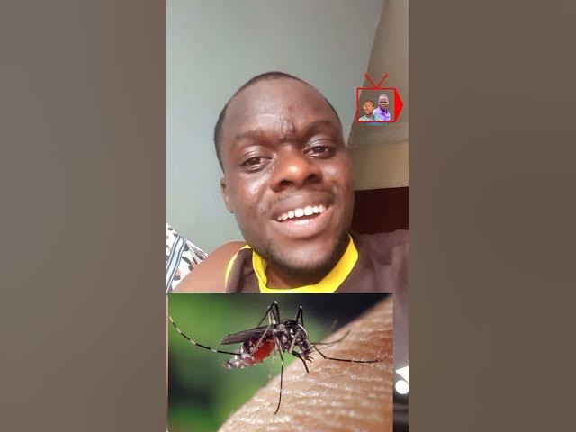 'Video thumbnail for Mosquito hotel room #reals #trending #lifestyle #shortsvideo #viral'