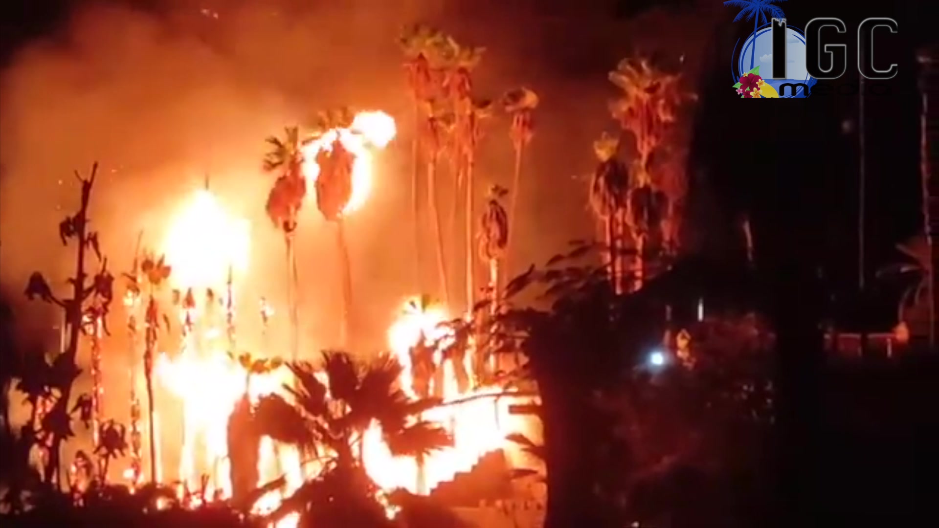 Video thumbnail for Palmenhain in Tauro abgebrannt