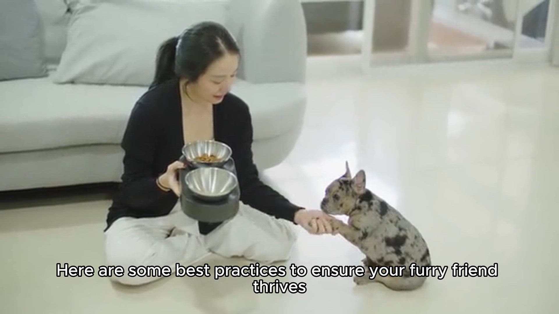 Video thumbnail for Best Tips for Pet Care and Training