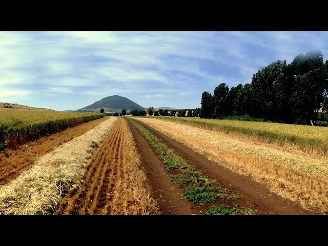 Video thumbnail for animating w7fdf-r 13