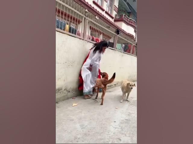 Video thumbnail for #fun #laugh #humor #crazy #jokes #lol #entertainment #humour #funny #intags #joker #joke