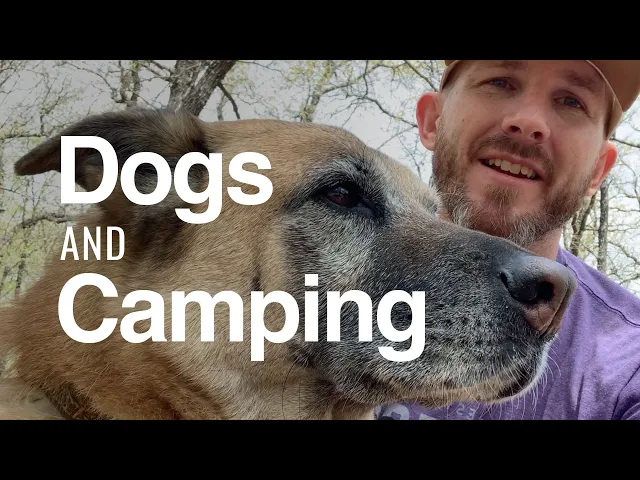 Video thumbnail for Is Camping With A Dog Worth The Trip?