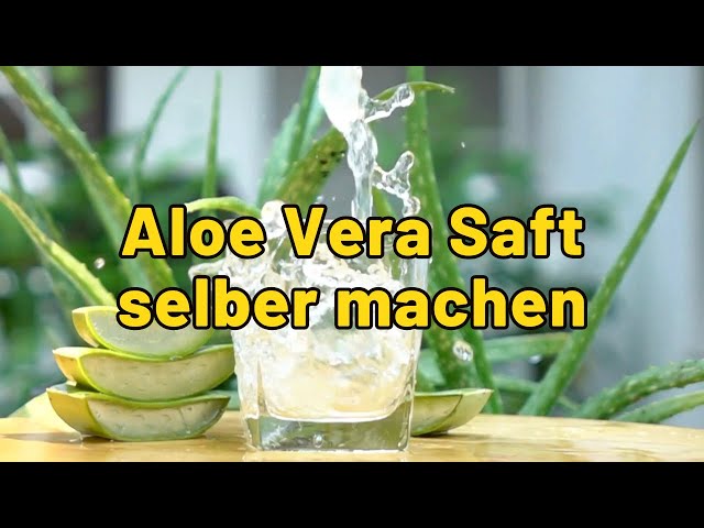'Video thumbnail for Aloe Vera Saft selber machen'