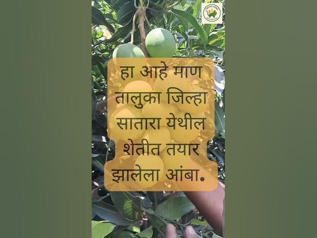 Video thumbnail for माण तालुक्यातील
