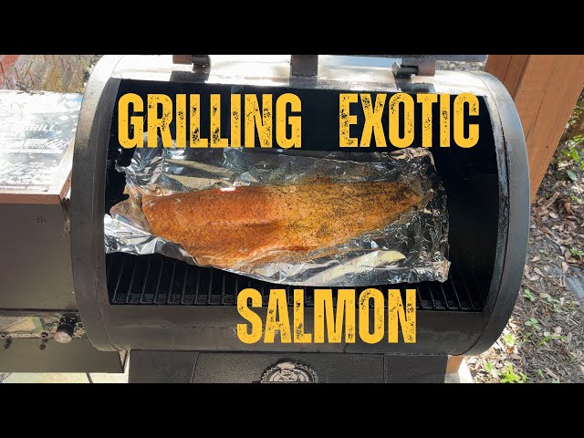 Video thumbnail for Amazing Salmon on the Grill