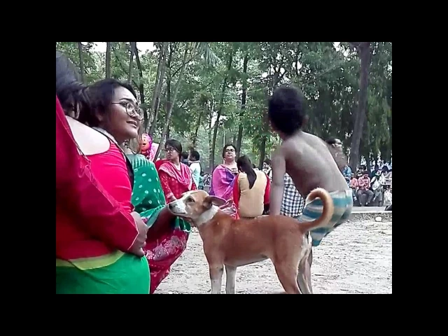 Video thumbnail for Relation With dog l When dogs and babies together l Amazing relation with dogs and baby.
