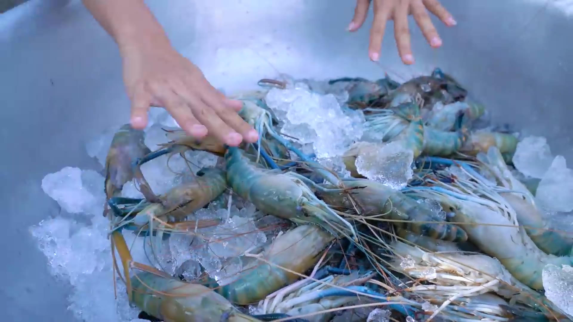 Video thumbnail for Shrimp boiled with vegetable cook recipe - Amazing video (720p 25fps)