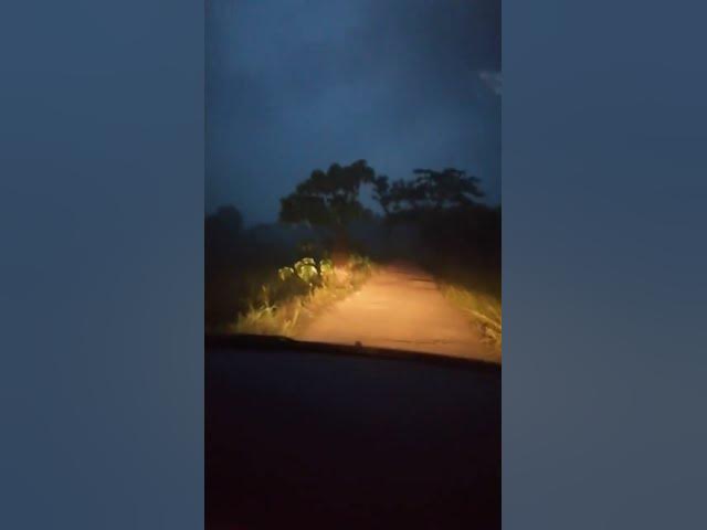 Video thumbnail for Morning blue Sky