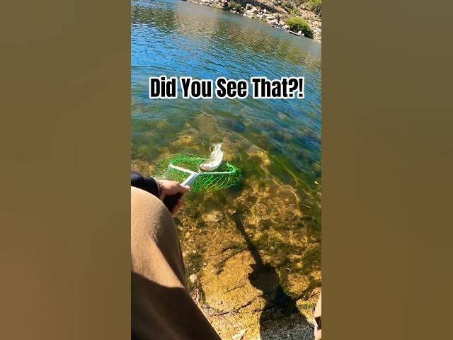 Video thumbnail for Hooking Into some FIGHTERS! #Fishingtrip