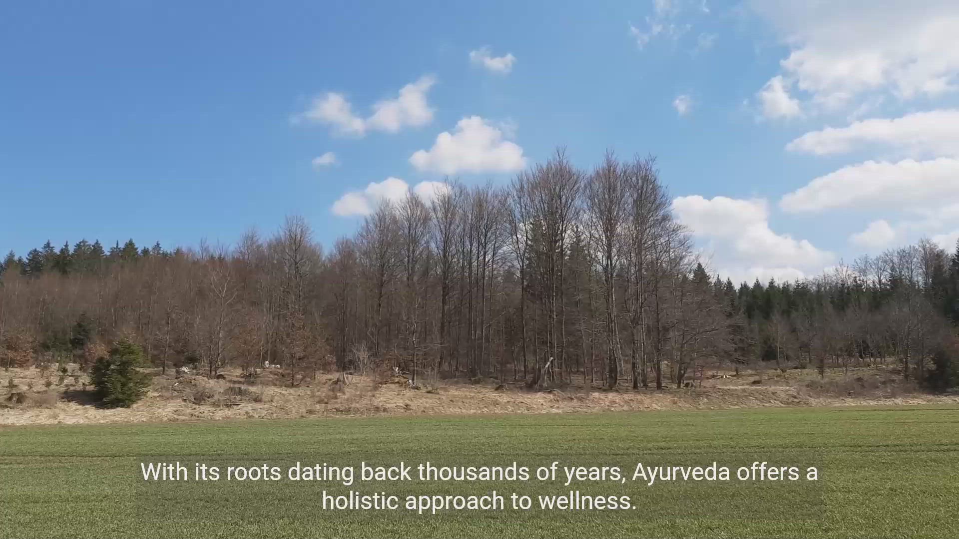 'Video thumbnail for Ayurveda: The Revolution of Natural Medicines'